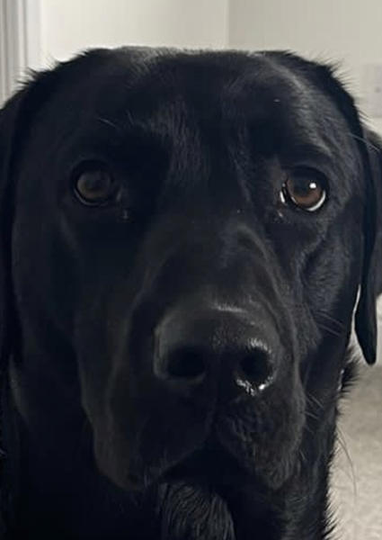 Puppy Survival Thread: muddy footprints into Spring 2022