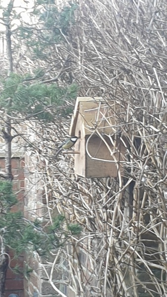 Nature Notes: the 2022 edition