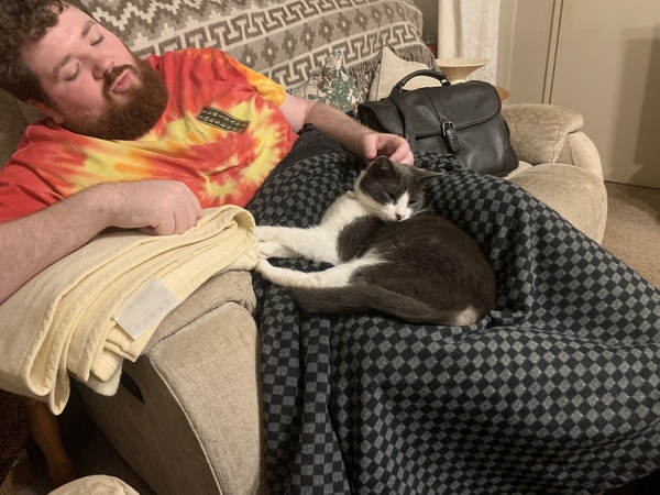 Not my cats and friends