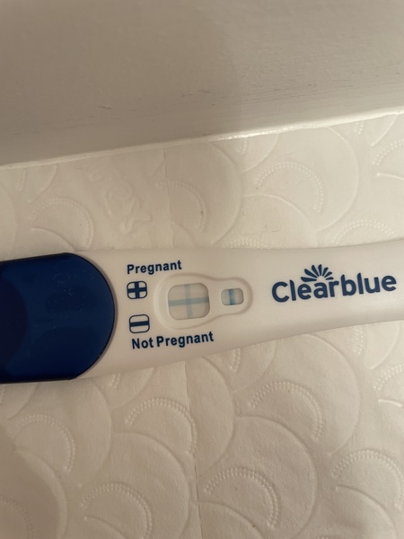 This is BFP right? What do I do now?