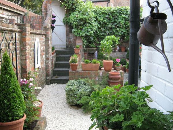 Small yard garden - ideas, please!