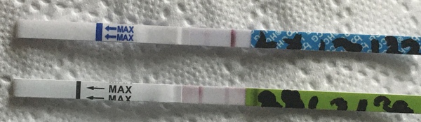 Femometer cheapie : is this a BFP??