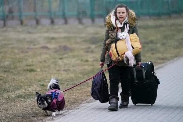 Ukraine-invasion-part-15