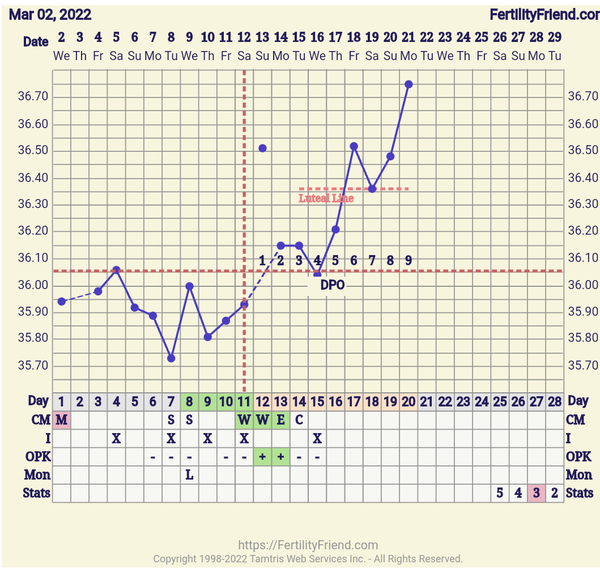 Can anyone look at my charts and let me know what you think?