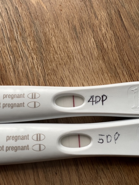 IVF/FET FEB MARCH No 4 2022
