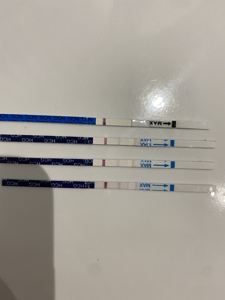 Due end November/early December