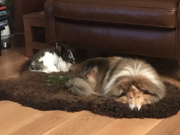 Oldies Appreciation Thread: Snoozing through the day