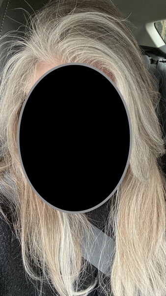 Anyone else going grey in 2022?