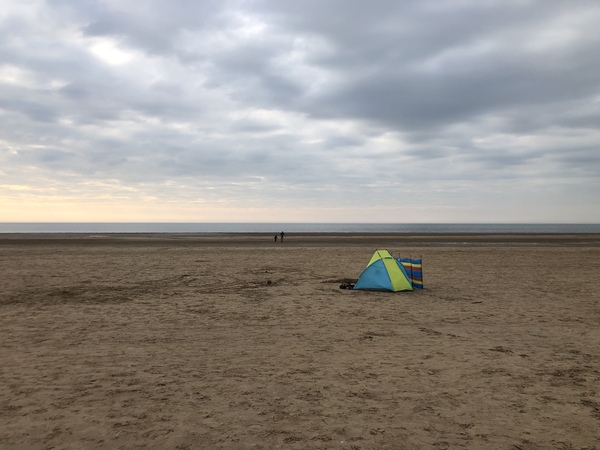 Countdown to Christmas 2022: spring has sprung, bring on the longer days! Thread 2.