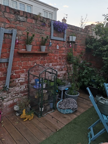 What would you with this wall in the garden?  (Pic attached)