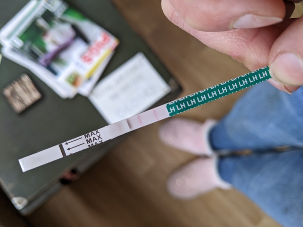 Is my Ovulation test right?