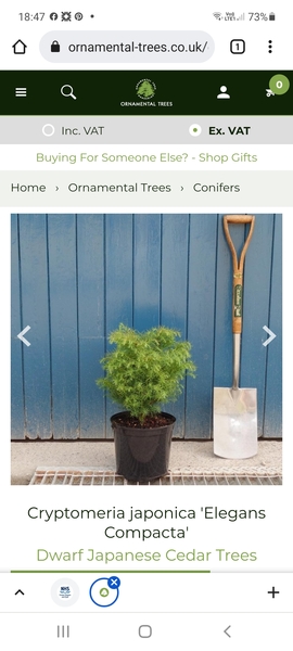 Plant identity