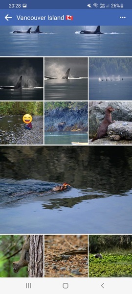 Canada - rockies or vancouver island?