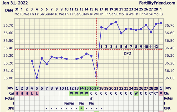 Can anyone look at my charts and let me know what you think?