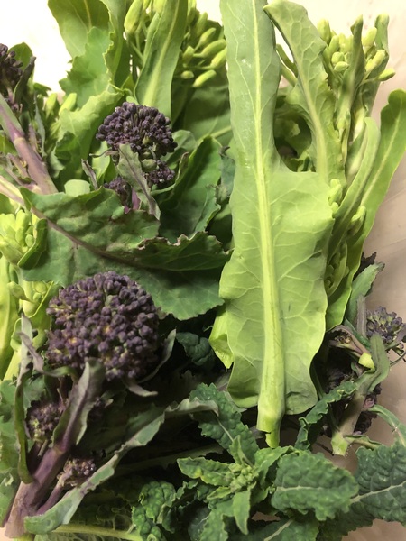 The Vegetable Patch