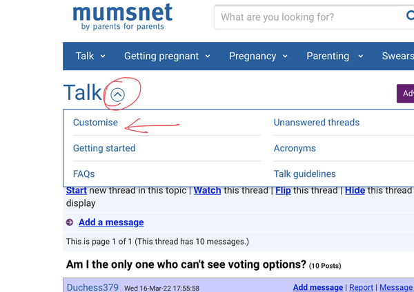 Am I the only one who can't see voting options?