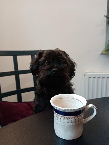 Jan 22 Low Carb Bootcamp - the final weigh-in!