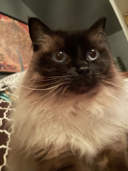 Bring us your worries, big or small!  The nightshift will hold them so you can sleep