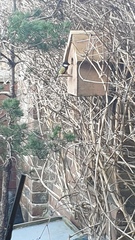 Nature Notes: the 2022 edition