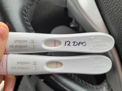 Chemical pregnancy