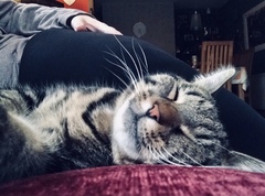 Cancer support thread #82