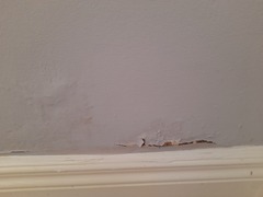 Damp in hallway, please help!
