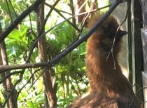 Cancer support thread #82