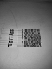 IUI timing question (frozen donor sperm)