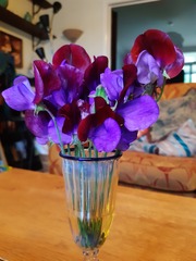 Advice to create cottage garden look