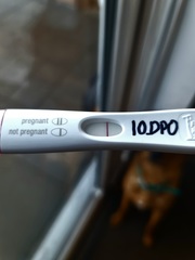 10DPO VVFL OH says "don't get your hopes up"