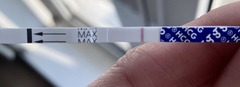 7dpo/8dpo pregnancy tests