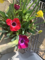 Show Us Your Pictures 6