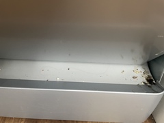 If you have young children, is your house clean?
