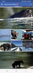 Canada - rockies or vancouver island?