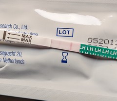 Is my Ovulation test right?