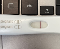 7dpo/8dpo pregnancy tests