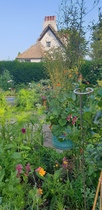 Small yard garden - ideas, please!