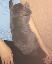 Cancer support thread #82