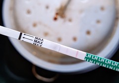 Is my Ovulation test right?