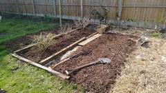 The Vegetable Patch