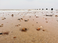 Any Witches Here? Part 16