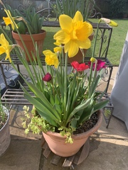 Show Us Your Pictures 6