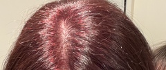 Calling experienced hairdressers!