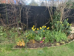 Grey fence...what do you think?