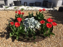 How can I make my front garden less ugly?