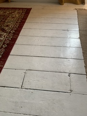 Has anyone painted their floors?