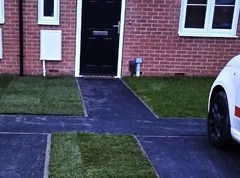 Small Front garden - stuck
