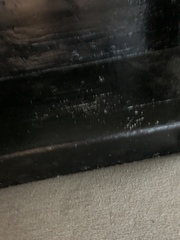 Has anyone painted their floors?