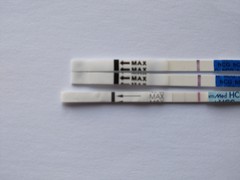 8DP5DT and did a *few* tests... BFP or trigger?