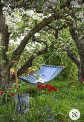 Advice needed re seating area under neighbour's tree